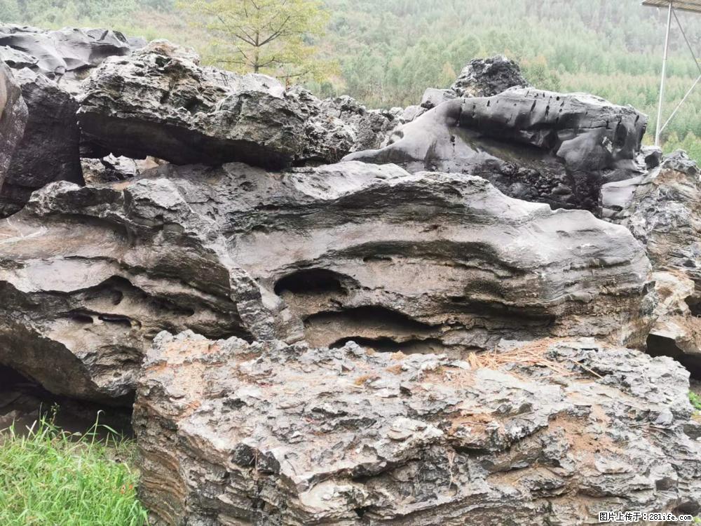 风景石、假山石大量有货，有需要的欢迎联系 - 新手上路 - 毕节生活社区 - 毕节28生活网 bijie.28life.net