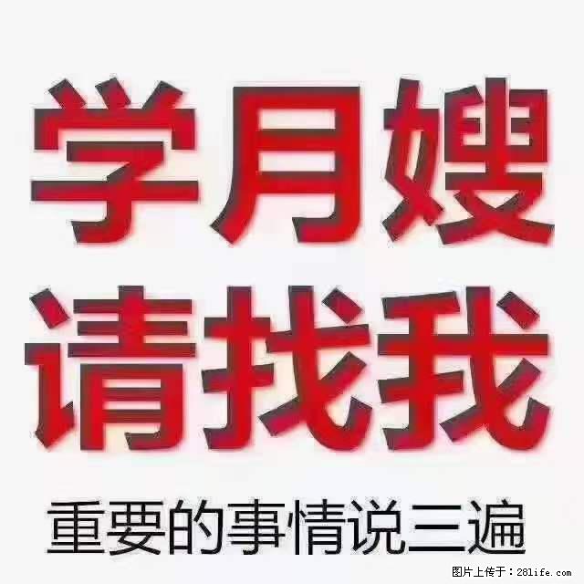 为什么要学习月嫂，育婴师？ - 其他广告 - 广告专区 - 毕节分类信息 - 毕节28生活网 bijie.28life.net