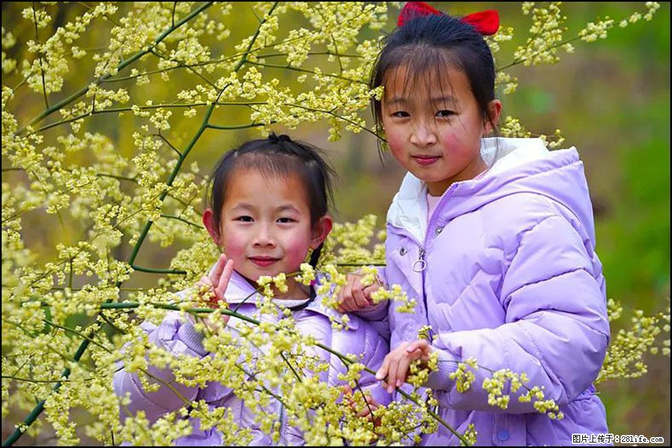 【春天，广西桂林灌阳县向您发出邀请！】米珠山前有片山苍子花在飘香 - 游山玩水 - 毕节生活社区 - 毕节28生活网 bijie.28life.net