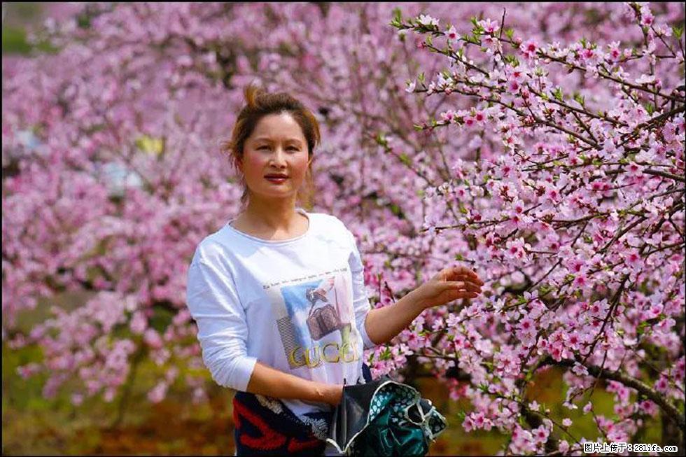 【春天，广西桂林灌阳县向您发出邀请！】官庄村有个醉美的桃花园 - 游山玩水 - 毕节生活社区 - 毕节28生活网 bijie.28life.net