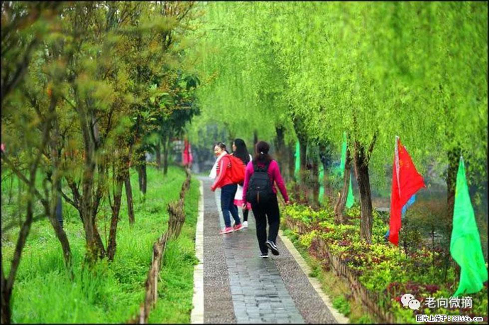 【春天，广西桂林灌阳县向您发出邀请！】江口老街又逢春 - 游山玩水 - 毕节生活社区 - 毕节28生活网 bijie.28life.net