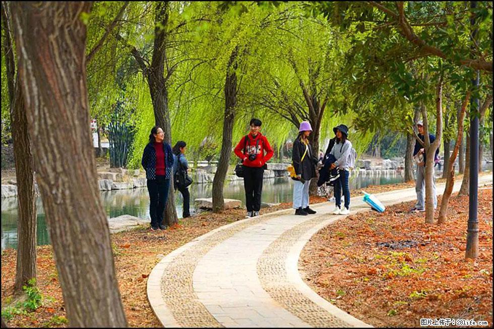 【春天，广西桂林灌阳县向您发出邀请！】江口老街又逢春 - 游山玩水 - 毕节生活社区 - 毕节28生活网 bijie.28life.net