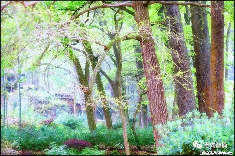 【春天，广西桂林灌阳县向您发出邀请！】在小龙村与春天约会 - 游山玩水 - 毕节生活社区 - 毕节28生活网 bijie.28life.net