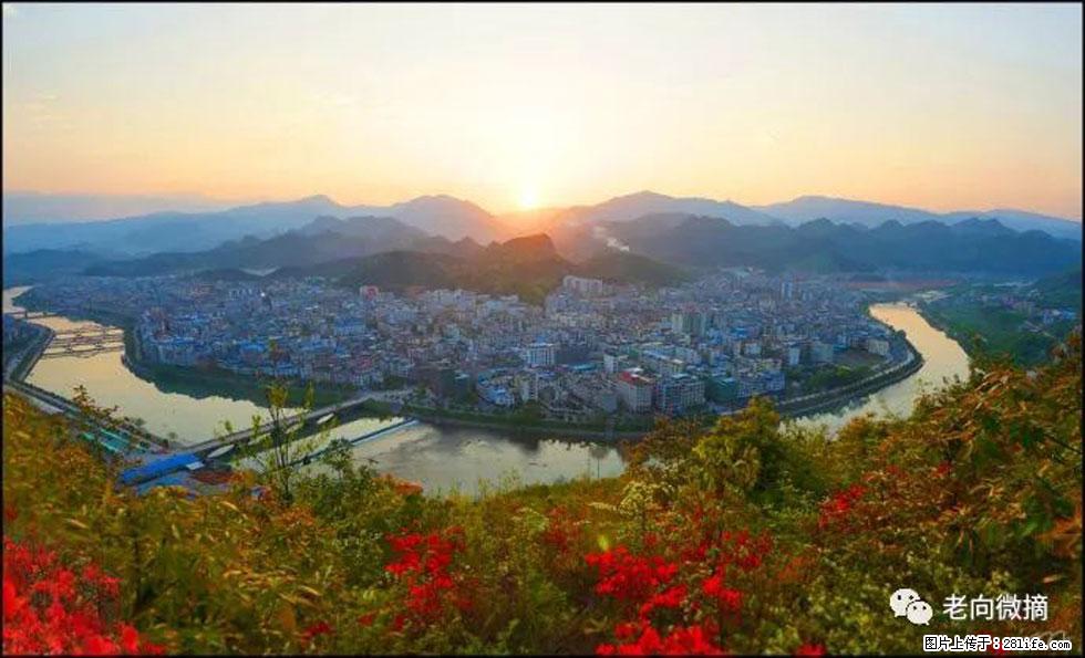 【春天，广西桂林灌阳县向您发出邀请！】登麒麟山，相约映山红 - 游山玩水 - 毕节生活社区 - 毕节28生活网 bijie.28life.net
