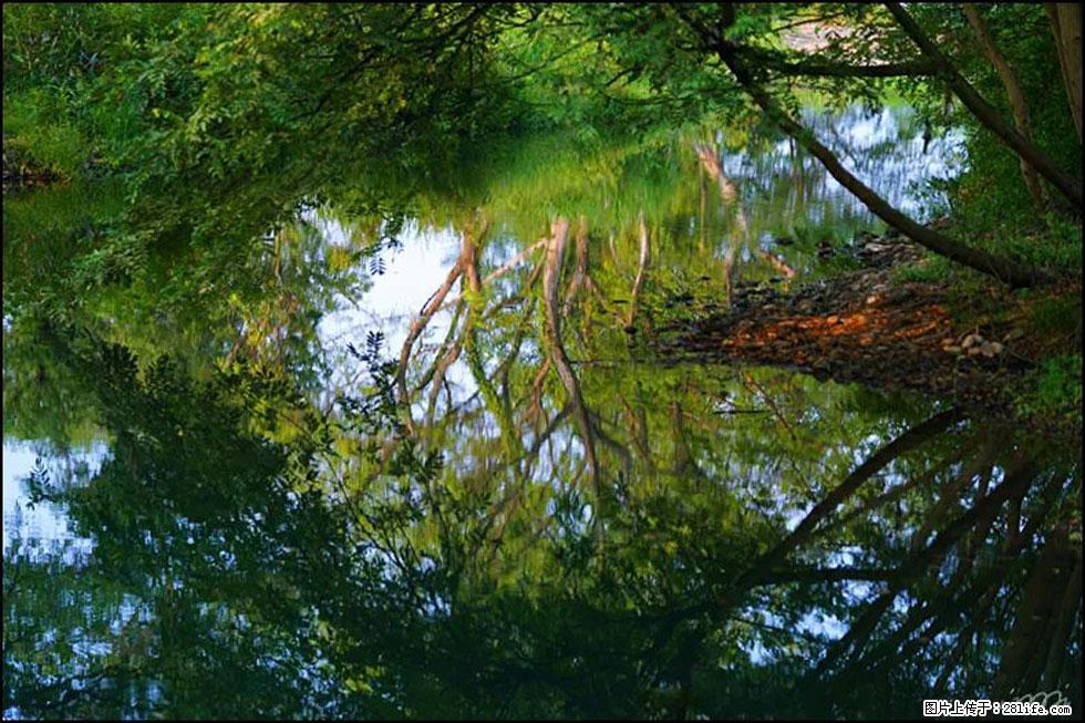 【春天，广西桂林灌阳县向您发出邀请！】熊家寨湿地公园 - 游山玩水 - 毕节生活社区 - 毕节28生活网 bijie.28life.net