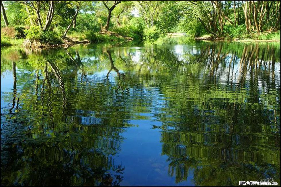 【春天，广西桂林灌阳县向您发出邀请！】熊家寨湿地公园 - 游山玩水 - 毕节生活社区 - 毕节28生活网 bijie.28life.net