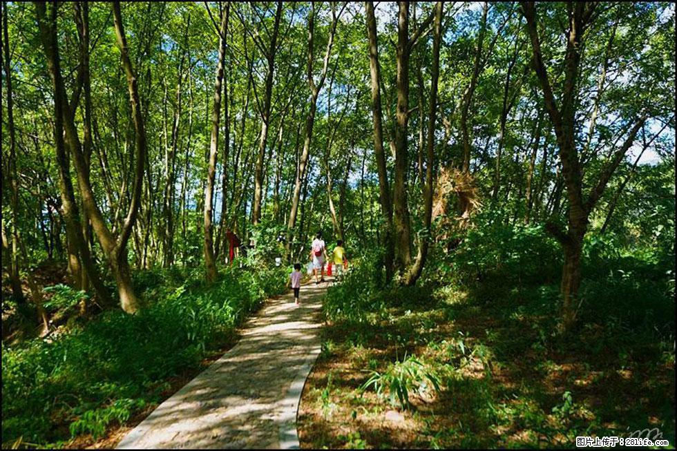 【春天，广西桂林灌阳县向您发出邀请！】熊家寨湿地公园 - 游山玩水 - 毕节生活社区 - 毕节28生活网 bijie.28life.net