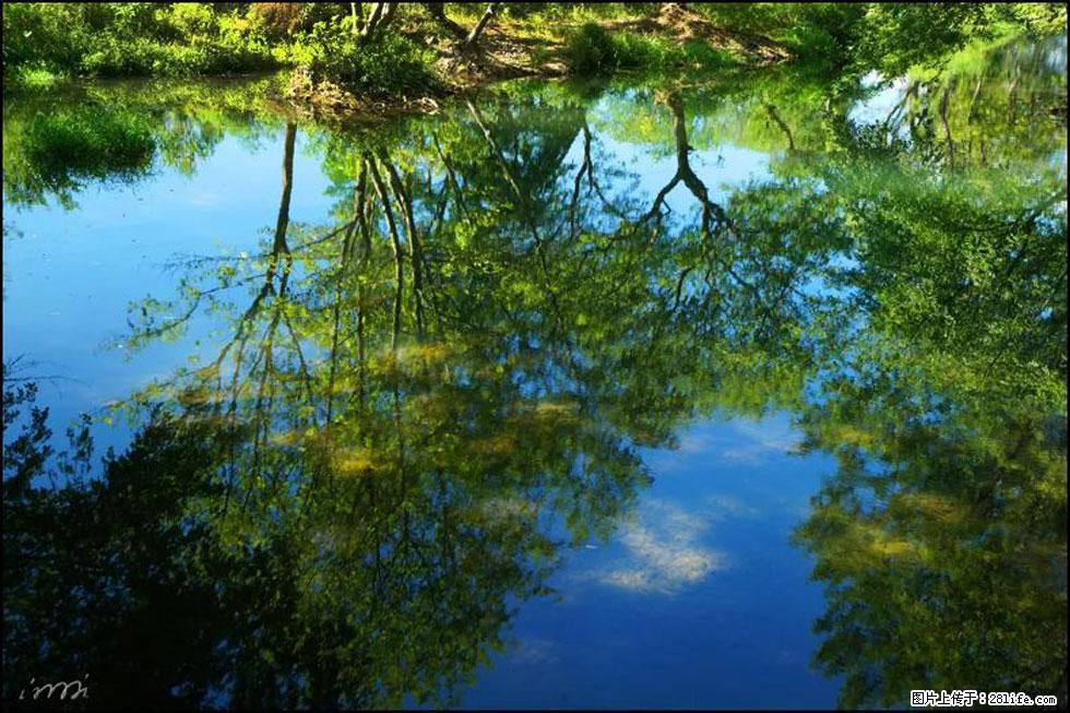 【春天，广西桂林灌阳县向您发出邀请！】熊家寨湿地公园 - 游山玩水 - 毕节生活社区 - 毕节28生活网 bijie.28life.net