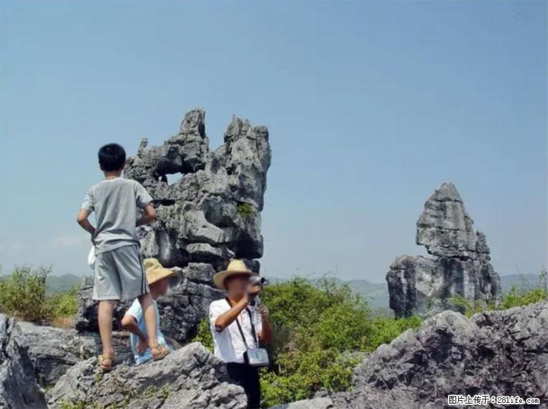 桂林旅游名城景点：灌阳文市石林 - 游山玩水 - 毕节生活社区 - 毕节28生活网 bijie.28life.net