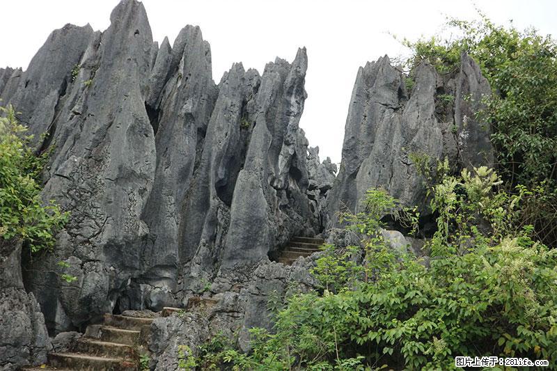 桂林旅游名城景点：灌阳文市石林 - 游山玩水 - 毕节生活社区 - 毕节28生活网 bijie.28life.net