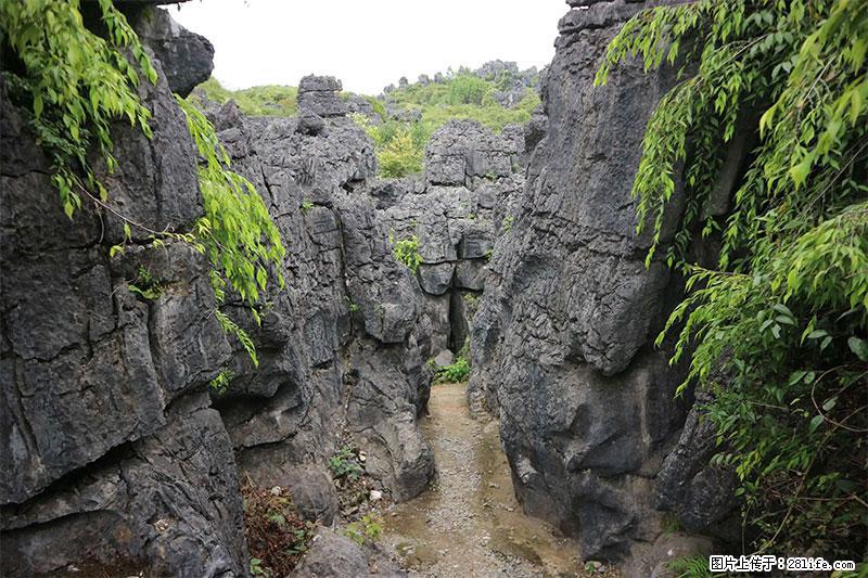 桂林旅游名城景点：灌阳文市石林 - 游山玩水 - 毕节生活社区 - 毕节28生活网 bijie.28life.net