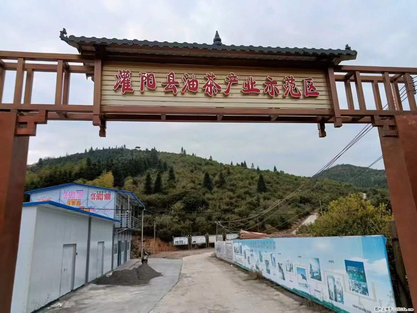【灌阳县油茶产业示范区】一个有着充实的精神生活的人，对待身外之物自会有一种淡泊的态度 - 美食天地 - 毕节生活社区 - 毕节28生活网 bijie.28life.net