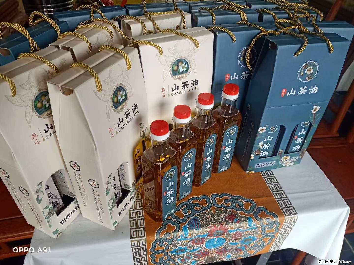 【灌阳县油茶产业示范区】一个有着充实的精神生活的人，对待身外之物自会有一种淡泊的态度 - 美食天地 - 毕节生活社区 - 毕节28生活网 bijie.28life.net