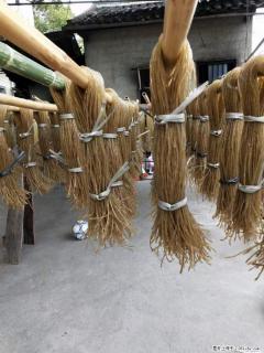 【灌阳正宗红薯粉】美女家里自己做的，干净卫生，假一赔十，价格合理，抢购电话：13737312895 - 毕节28生活网 bijie.28life.net