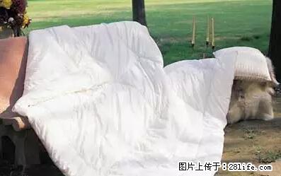 被子有异味？只要这样做，比晒太阳还强100倍！ - 家居生活 - 毕节生活社区 - 毕节28生活网 bijie.28life.net