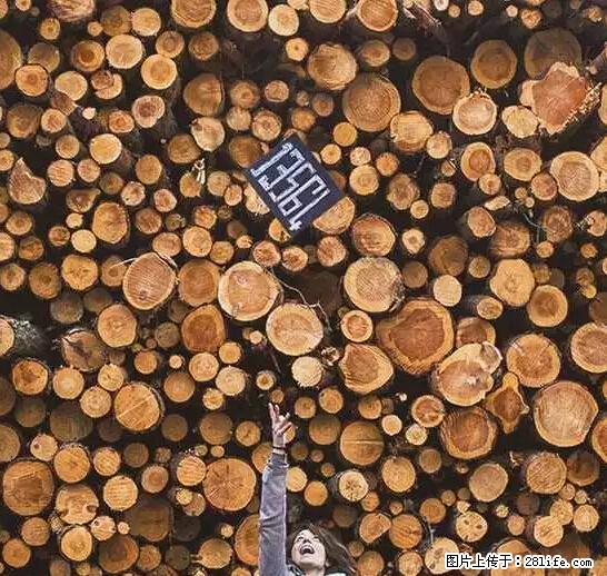 辞掉工作周游世界？现在他们在洗厕所…… - 游山玩水 - 毕节生活社区 - 毕节28生活网 bijie.28life.net
