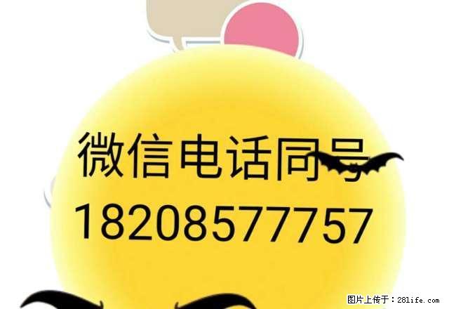 虎踞路2室1厅1卫简单装修 - 房屋出租 - 房屋租售 - 毕节分类信息 - 毕节28生活网 bijie.28life.net