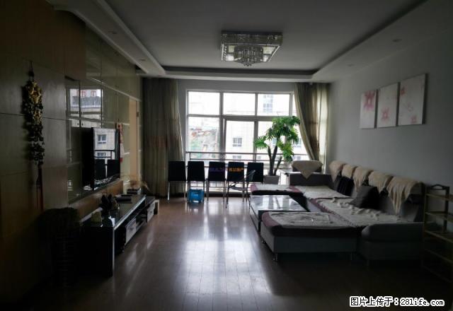 临街区政府旁，世纪欣苑 中等装修 拎包入住 采光好 - 房屋出租 - 房屋租售 - 毕节分类信息 - 毕节28生活网 bijie.28life.net