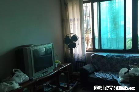 麻园烟厂宿舍步梯一楼三室两厅，随时看房 - 房屋出租 - 房屋租售 - 毕节分类信息 - 毕节28生活网 bijie.28life.net