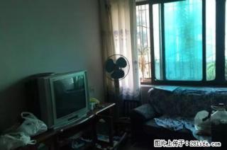 麻园烟厂宿舍步梯一楼三室两厅，随时看房 - 毕节28生活网 bijie.28life.net
