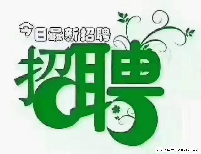 【招聘摄像师】待遇：试用期6000元/月，转正7000元/月+五险一金+餐补+节日福利+奖金 - 其他招聘信息 - 招聘求职 - 毕节分类信息 - 毕节28生活网 bijie.28life.net