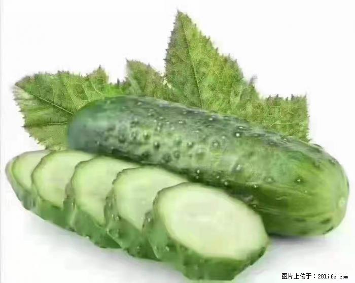 【生活小常识】吃黄瓜的好处 - 生活百科 - 毕节生活社区 - 毕节28生活网 bijie.28life.net