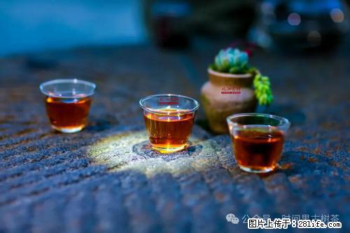 时间果百年古树2025年春红茶 - 购物交流 - 毕节生活社区 - 毕节28生活网 bijie.28life.net