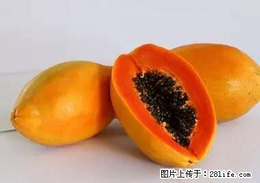晕车、脚气、牙齿变黄、皮肤粗糙？学会这些三分钟搞定！ - 毕节生活资讯 - 毕节28生活网 bijie.28life.net
