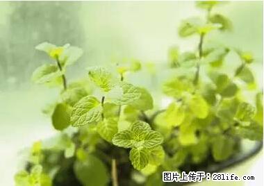 晕车、脚气、牙齿变黄、皮肤粗糙？学会这些三分钟搞定！ - 毕节生活资讯 - 毕节28生活网 bijie.28life.net