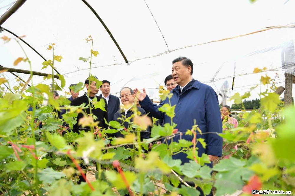 习近平赴广西考察调研 - 毕节生活资讯 - 毕节28生活网 bijie.28life.net