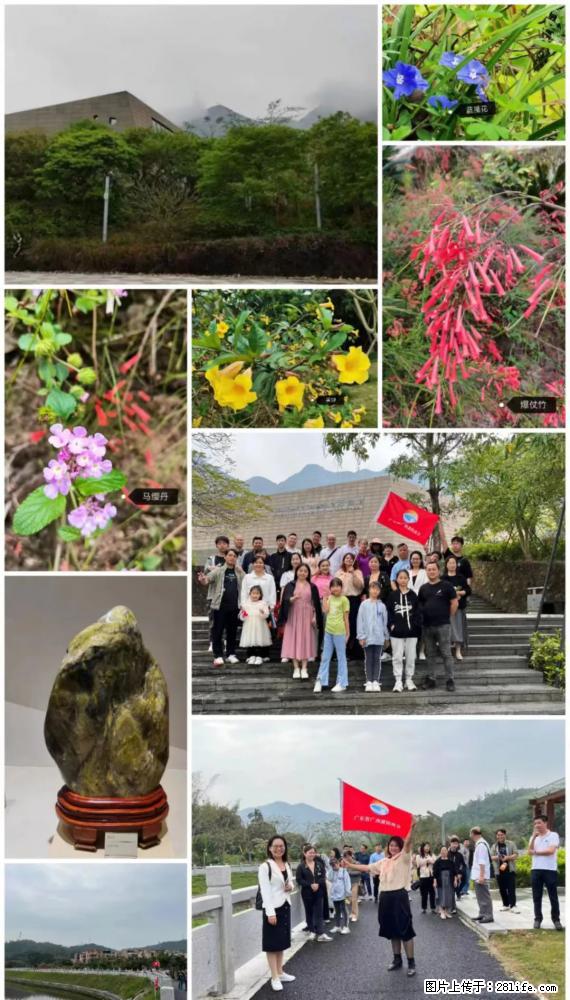 “粤灌文化 美好生活”油茶文化主题活动在广东深圳成功举办 - 毕节生活资讯 - 毕节28生活网 bijie.28life.net