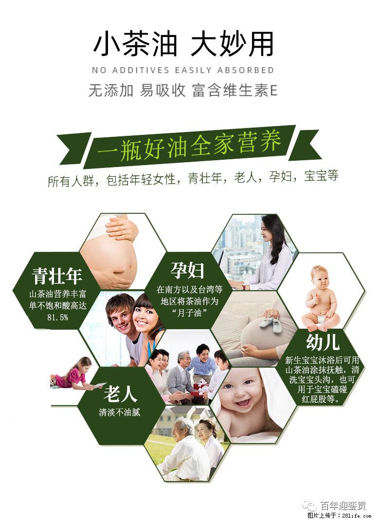 世界没有真相，只有认知，最好的食用油是中国的山茶油！ - 毕节生活资讯 - 毕节28生活网 bijie.28life.net