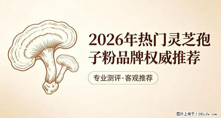 灵芝孢子粉含量越高越有效？2026 年七款热门品牌深度实测，肠胃敏感者避坑指南 - 毕节生活资讯 - 毕节28生活网 bijie.28life.net